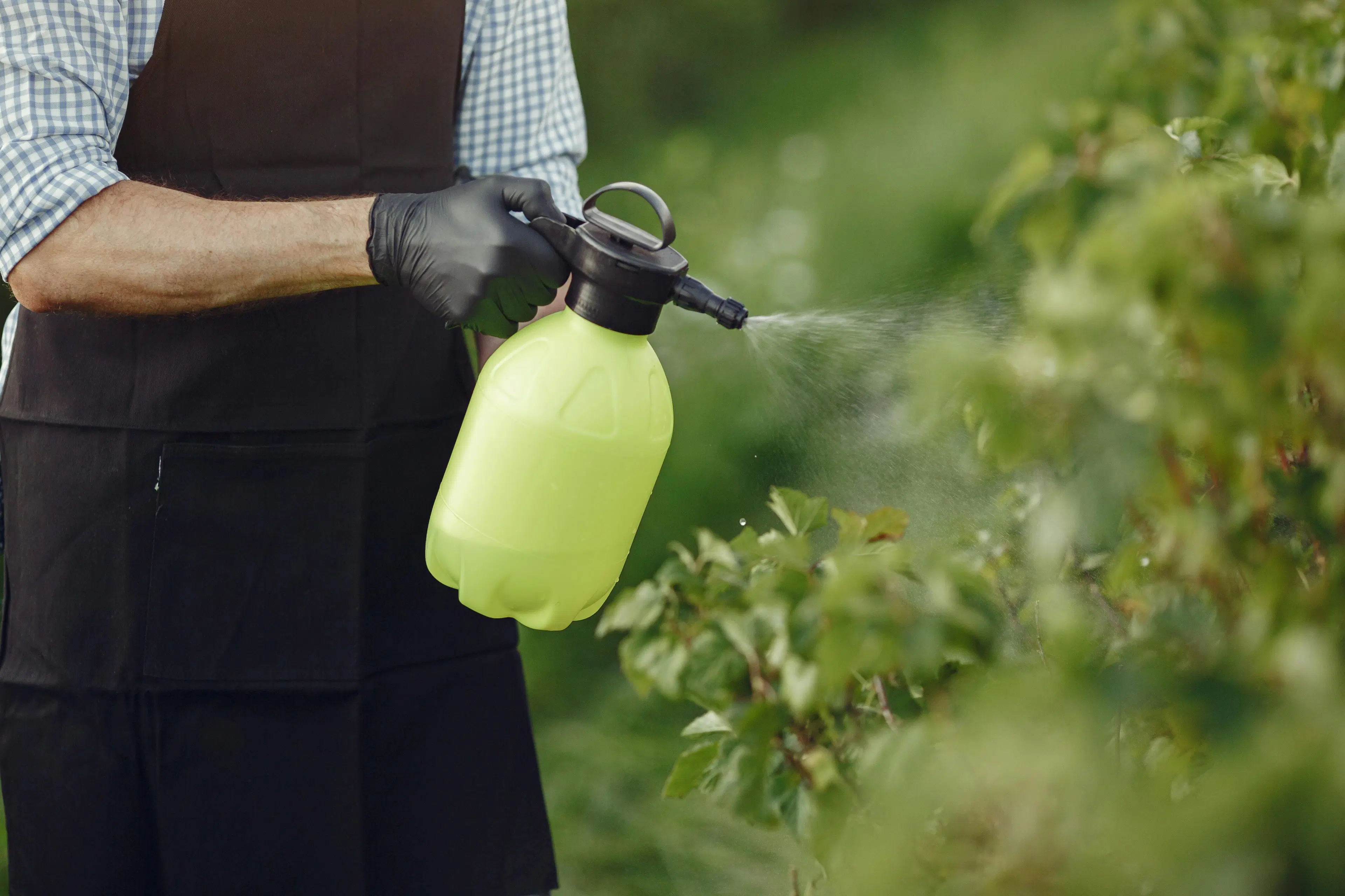 Paraquat Lawsuit
