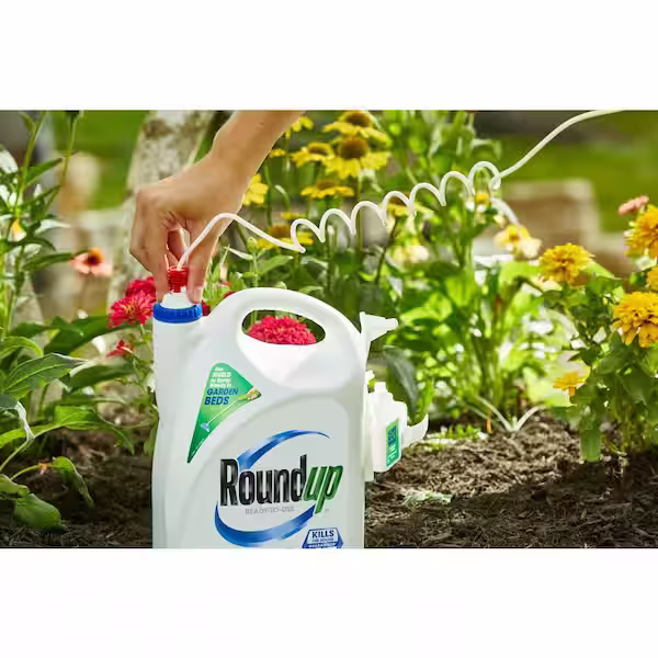 RoundUp Lawsuit
